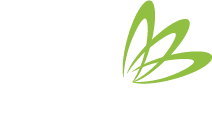 DH Tax Services | Účetnictví, daně a mzdy